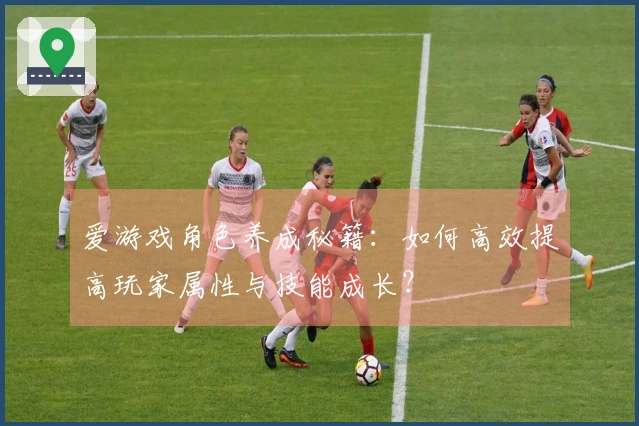 爱游戏角色养成秘籍：如何高效提高玩家属性与技能成长？