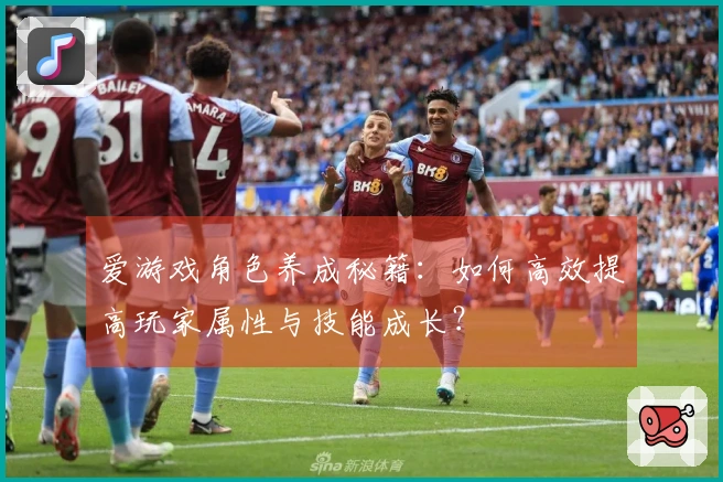 爱游戏角色养成秘籍：如何高效提高玩家属性与技能成长？