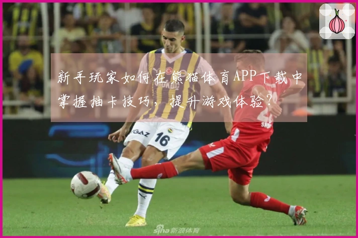 新手玩家如何在熊猫体育APP下载中掌握抽卡技巧，提升游戏体验？