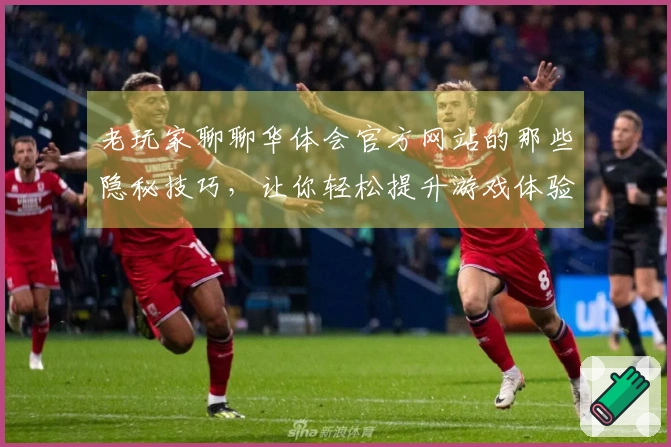 老玩家聊聊华体会官方网站的那些隐秘技巧，让你轻松提升游戏体验