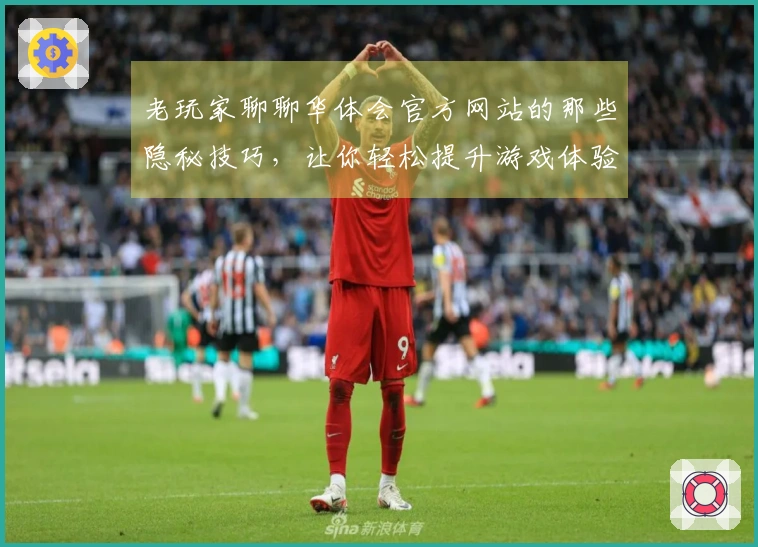 老玩家聊聊华体会官方网站的那些隐秘技巧，让你轻松提升游戏体验